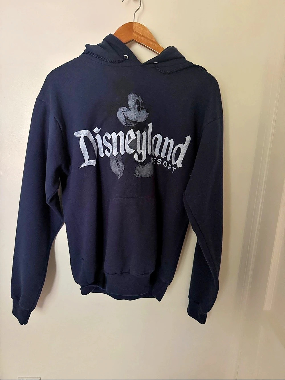 Disney Disneyland Resort Disney World Hoodie Graphic Hoodie Size Medium